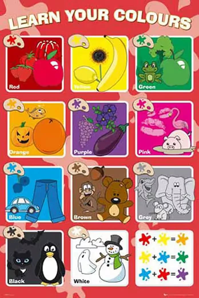 Poster Educational – Colours