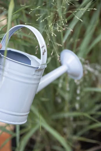 IB LAURSEN Gießkanne Metall 0,8 l Vintage Kindergießkanne klein