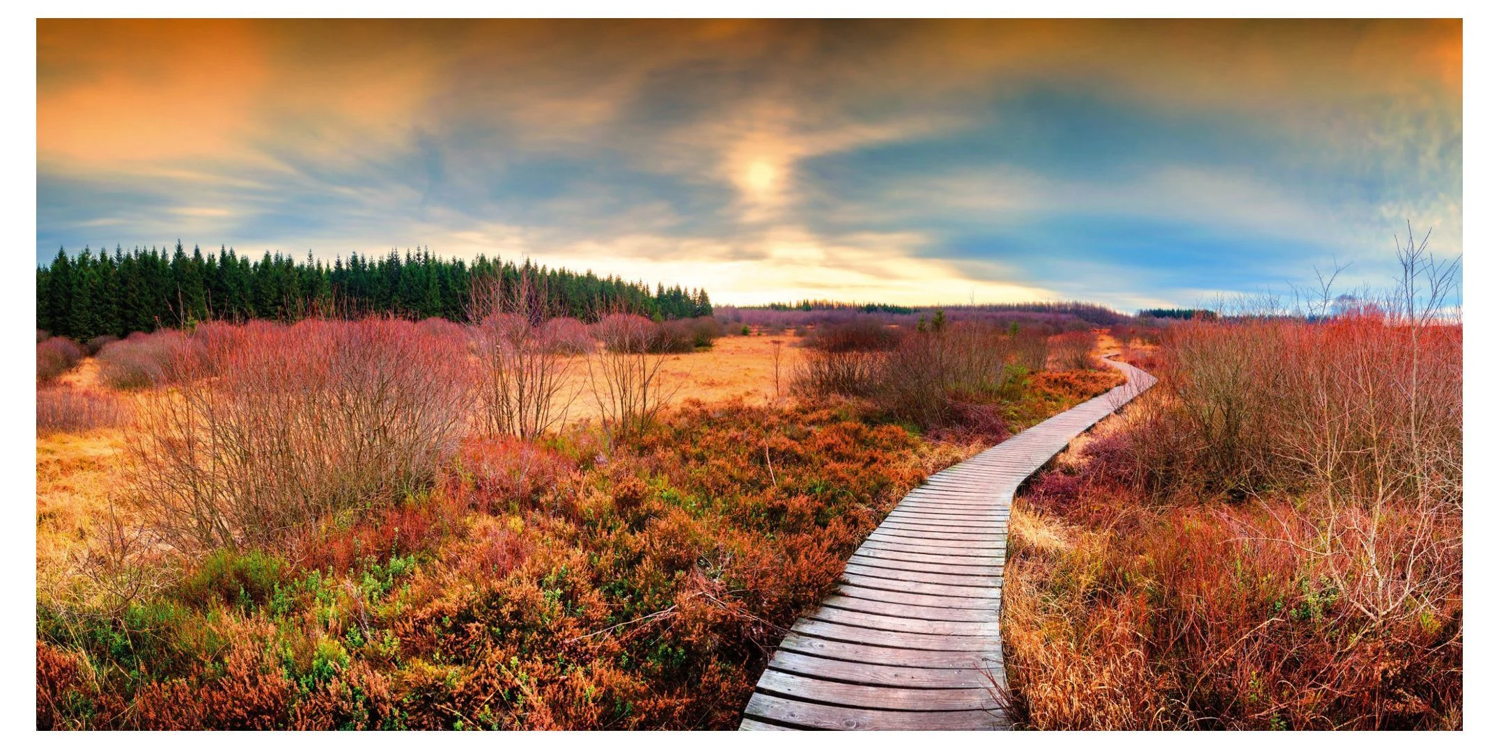 Panorama-Postkarte „Faszination Erde“ – Moorlandschaft