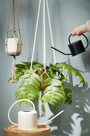 Mica Decorations Gießkanne Ancho aus Eisen schwarz