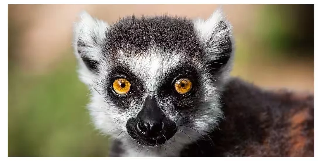 Panorama-Postkarte „Faszination Erde“ – Katta