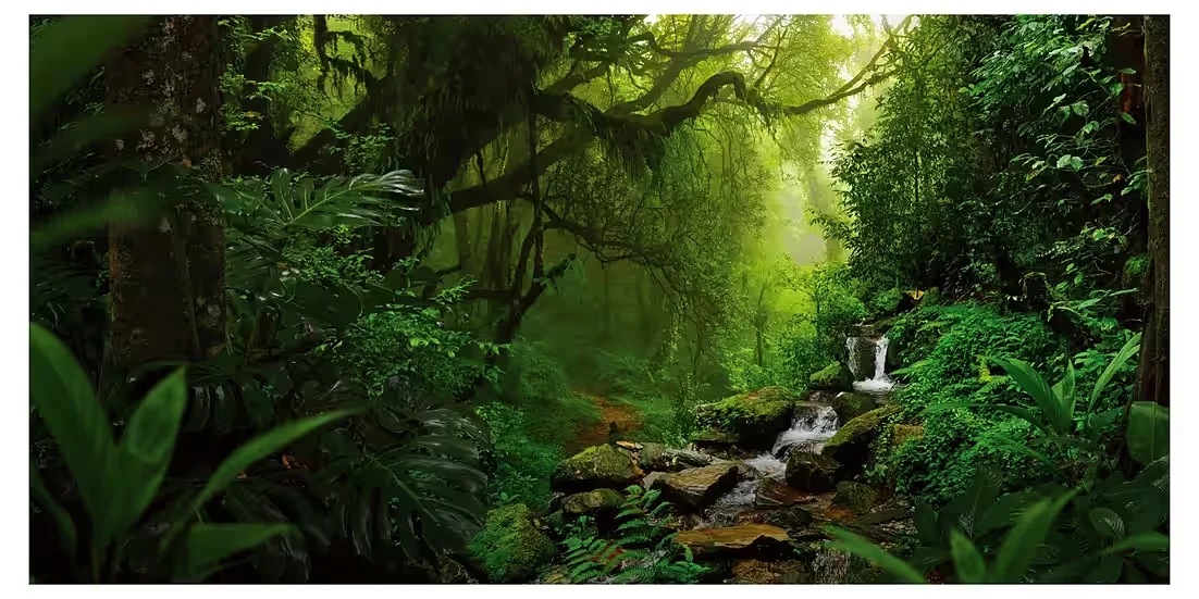 Panorama-Postkarte „Faszination Erde“ – Regenwald