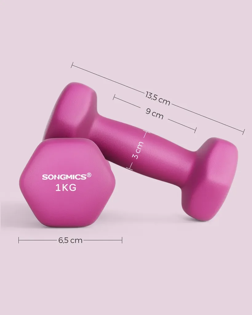 SONGMICS Kurzhanteln Set 2 x 1 kg Hexagon Neopren für Zuhause