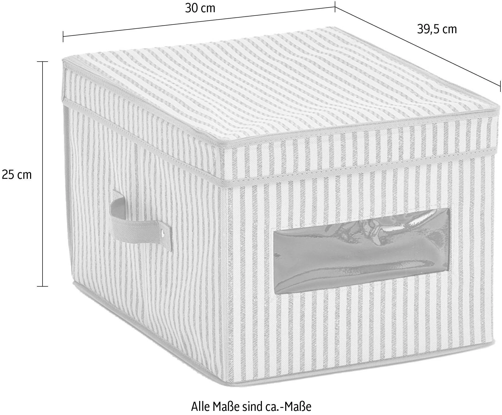 ZELLER PRESENT Aufbewahrungsbox Stripes aus Vlies beige