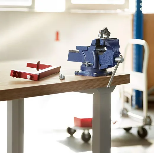 TECTAKE Schraubstock Gusseisen Amboss 360 Grad drehbar 3 Bohrungen